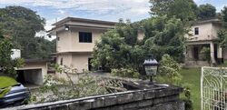 Wallace Way (D11), Detached #529107111